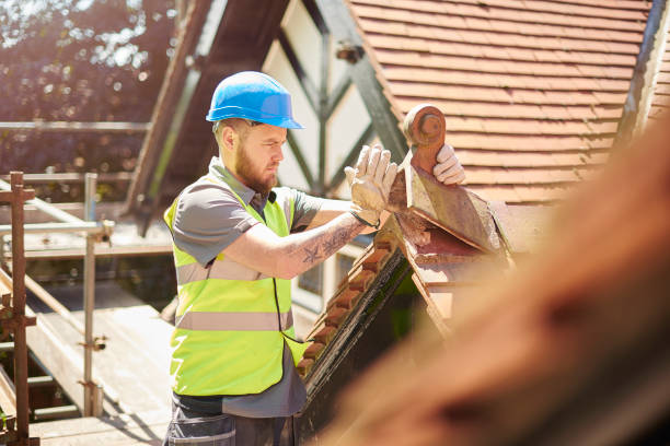 Best Affordable Roof Replacement  in Hudson, FL
